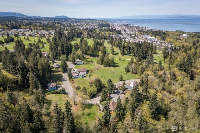 16 Delguzzi Dr, Port Angeles, WA 98362 - photo 8