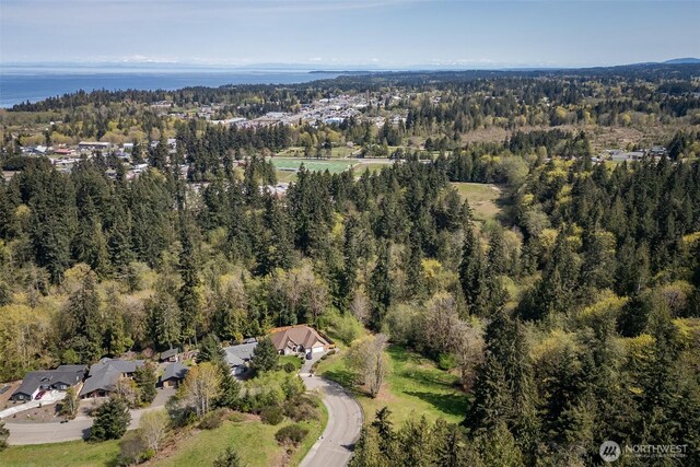 16 Delguzzi Dr, Port Angeles, WA 98362 - photo 9
