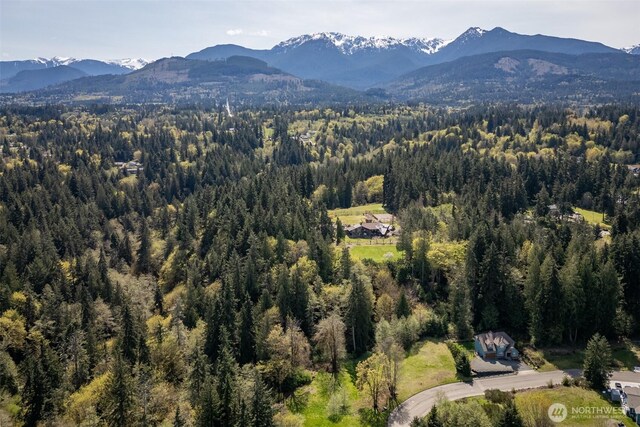 16 Delguzzi Dr, Port Angeles, WA 98362 - photo 10