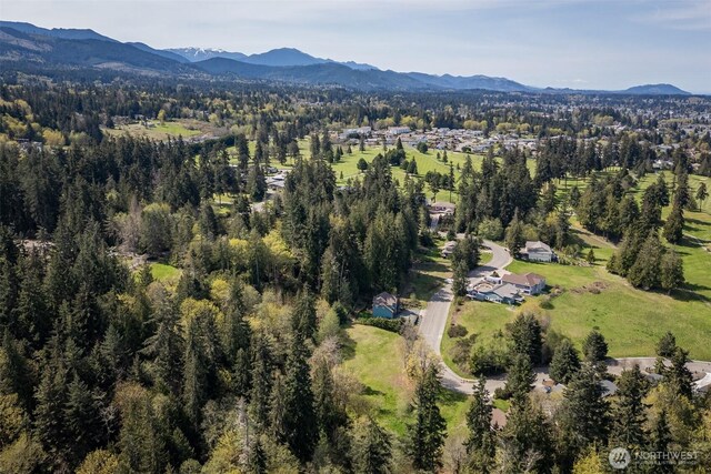 16 Delguzzi Dr, Port Angeles, WA 98362 - photo 11