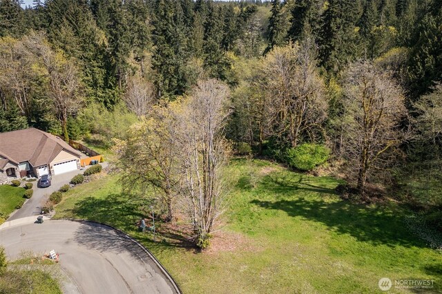 16 Delguzzi Dr, Port Angeles, WA 98362 - photo 17