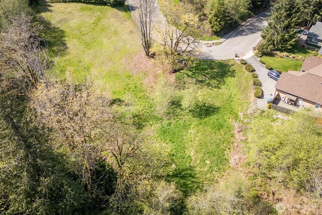 16 Delguzzi Dr, Port Angeles, WA 98362 - photo 19