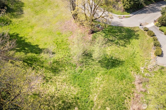 16 Delguzzi Dr, Port Angeles, WA 98362 - photo 20