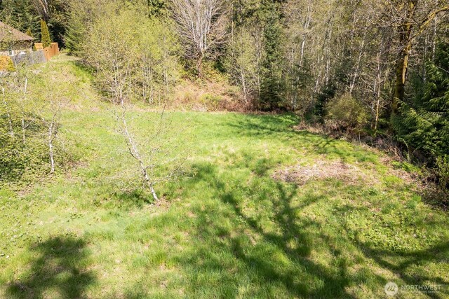 16 Delguzzi Dr, Port Angeles, WA 98362 - photo 23