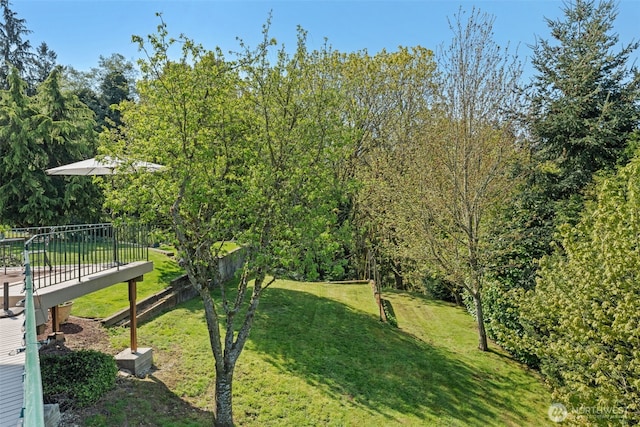 30941 37th Pl SW, Federal Way, WA 98023 - view of yard