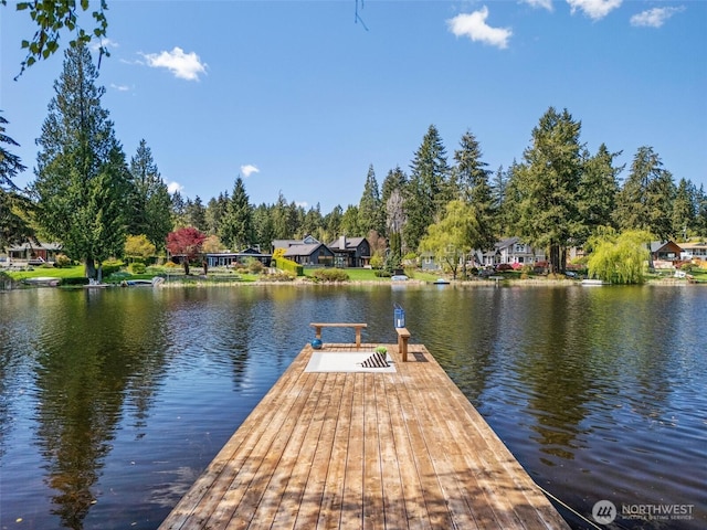 dock area with a water view