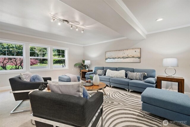 carpeted living room with baseboards, ornamental molding, and rail lighting