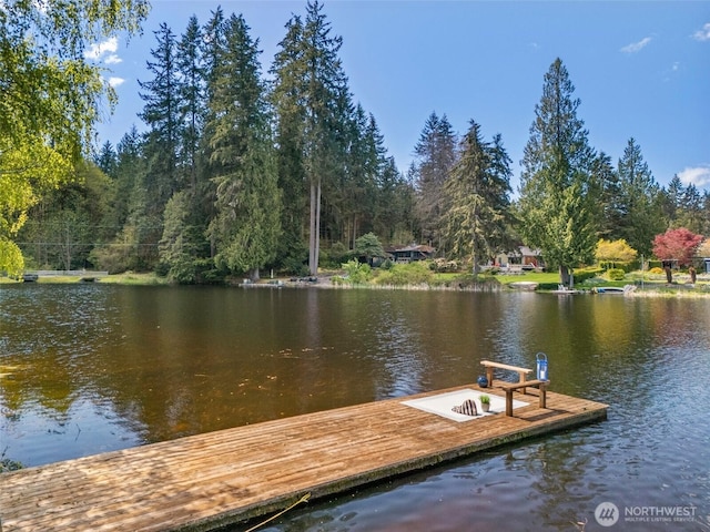 dock area featuring a water view