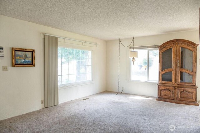 609 W Whitman Dr, College Place, WA 99324 - empty room featuring carpet flooring, healthy amount of natural light, and a textured ceiling