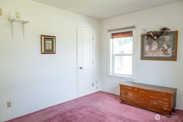 609 W Whitman Dr, College Place, WA 99324 - bedroom with carpet floors