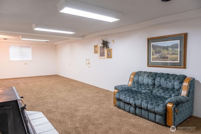 609 W Whitman Dr, College Place, WA 99324 - living area with carpet flooring