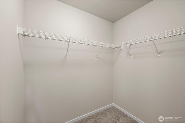 19504 15th Ave E, Spanaway, WA 98387 - walk in closet with carpet floors