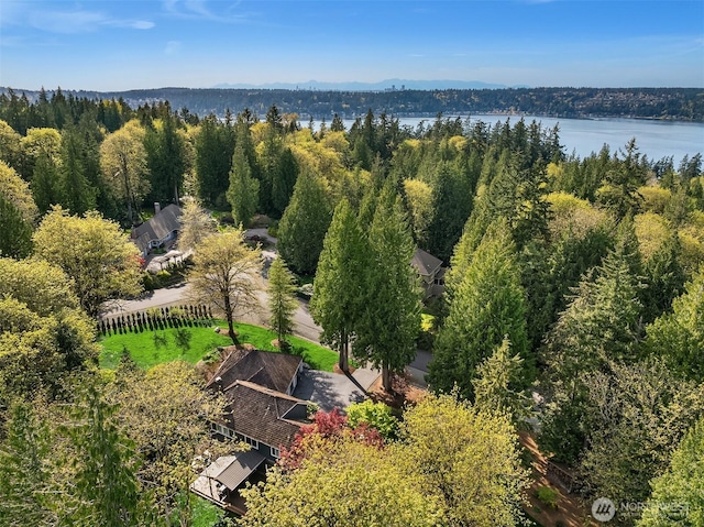aerial view featuring a water view and a forest view