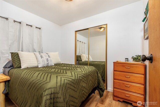 105 Robinwood Pl, Packwood, WA 98361 - bedroom with wood finished floors and a closet