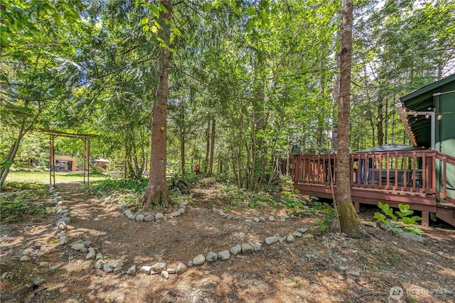 105 Robinwood Pl, Packwood, WA 98361 - view of yard featuring a deck