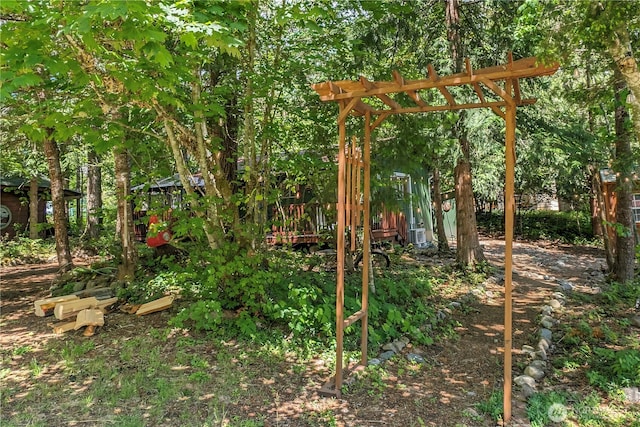 105 Robinwood Pl, Packwood, WA 98361 - view of yard with a wooden deck