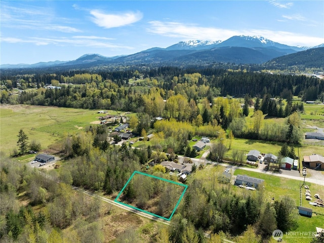 9999 Devanny Ln, Port Angeles, WA 98363 - photo 1