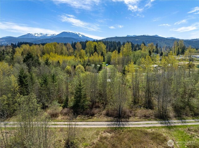 9999 Devanny Ln, Port Angeles, WA 98363 - photo 2