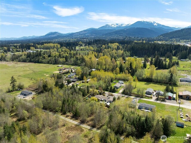 9999 Devanny Ln, Port Angeles, WA 98363 - photo 3