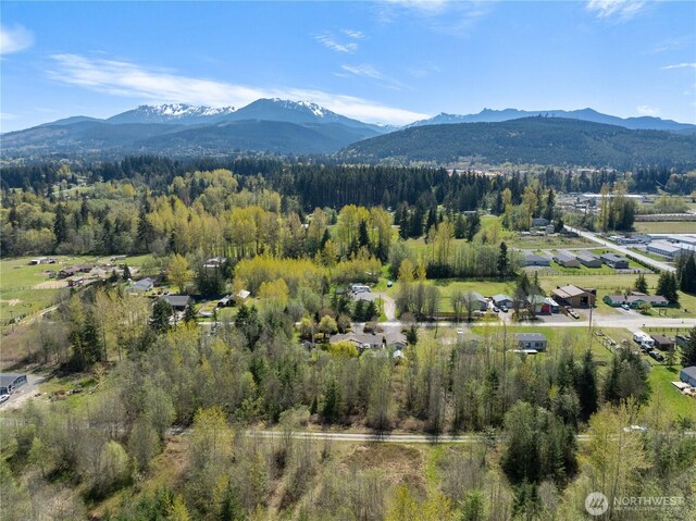 9999 Devanny Ln, Port Angeles, WA 98363 - photo 4