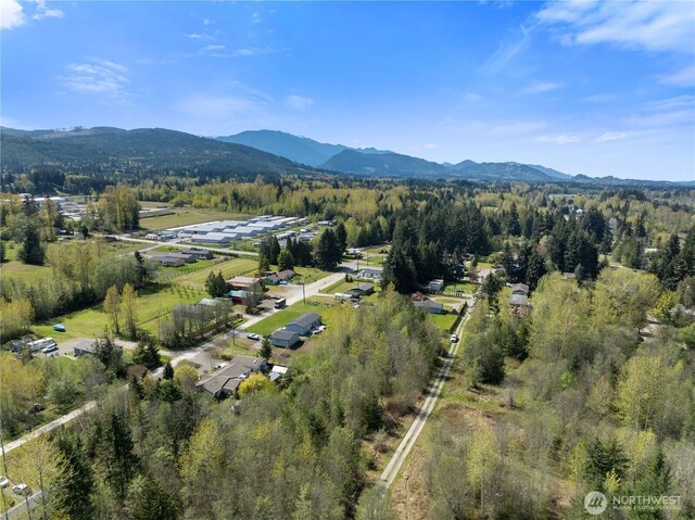 9999 Devanny Ln, Port Angeles, WA 98363 - photo 5