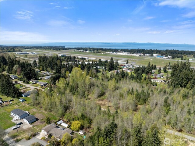 9999 Devanny Ln, Port Angeles, WA 98363 - photo 6