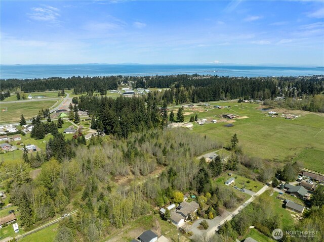 9999 Devanny Ln, Port Angeles, WA 98363 - photo 7