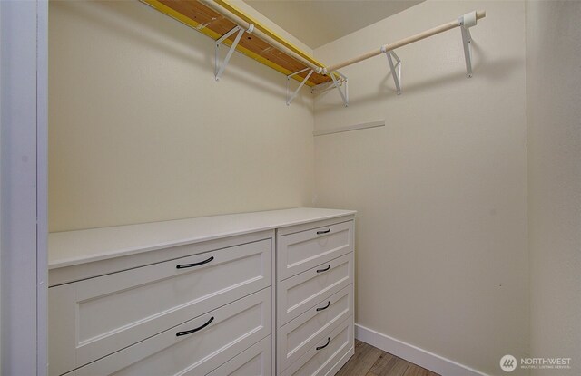 spacious closet featuring wood finished floors