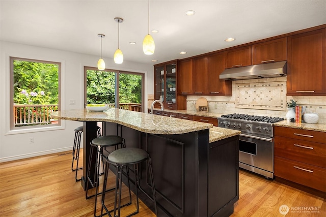 kitchen featuring stainless steel range, under cabinet range hood, plenty of natural light, tasteful backsplash, and recessed lighting