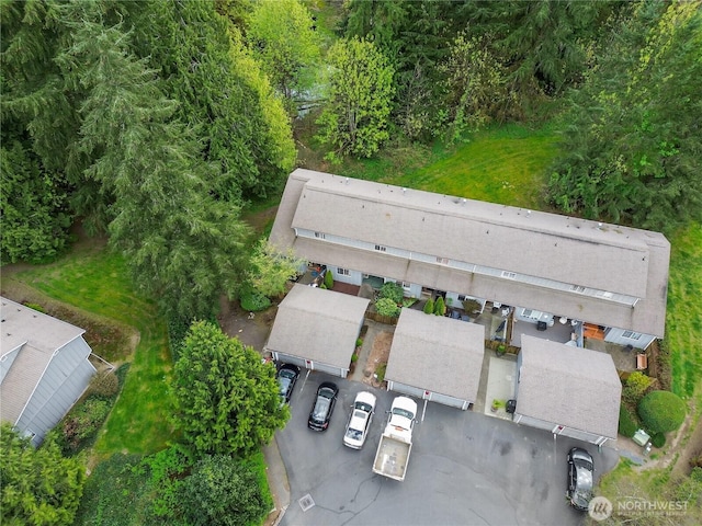 drone / aerial view