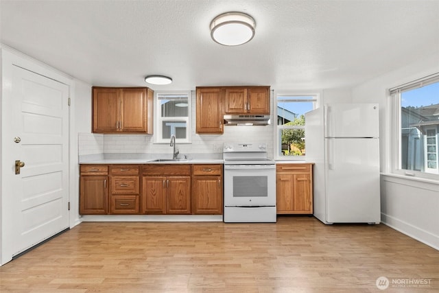kitchen with brown cabinetry, white appliances, under cabinet range hood, a sink, and light wood finished floors