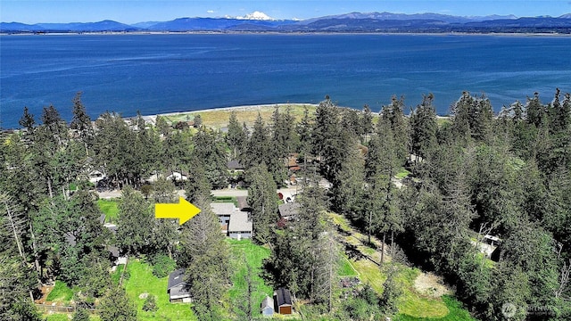 366 Tillicum Way, Camano Island, WA 98282 - drone / aerial view with a water and mountain view