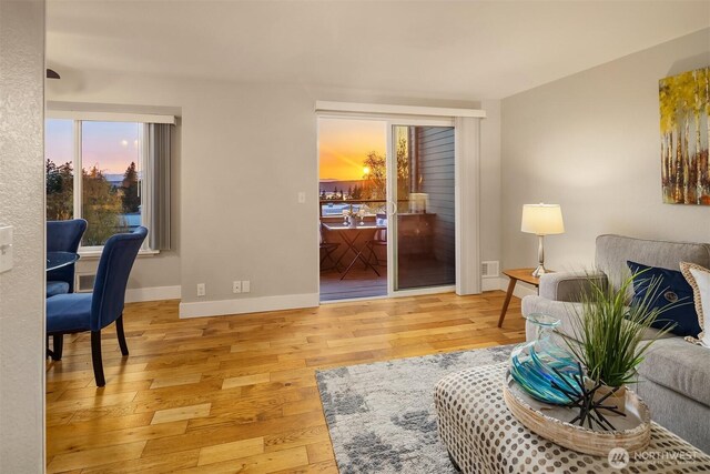 living room with baseboards, visible vents, and wood-type flooring