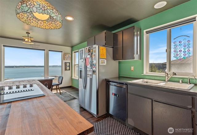 51 Vista Blvd, Port Townsend, WA 98368 - kitchen with stainless steel appliances, a sink, plenty of natural light, and dark wood-style flooring