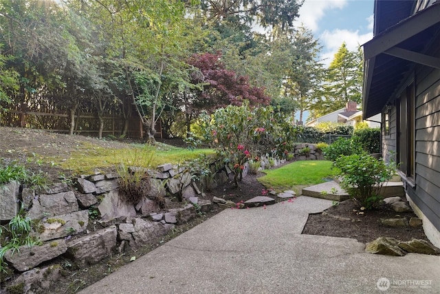 view of yard featuring a fenced backyard and a patio area