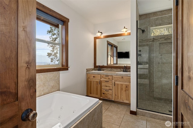 full bathroom featuring a stall shower, a healthy amount of sunlight, and a sink