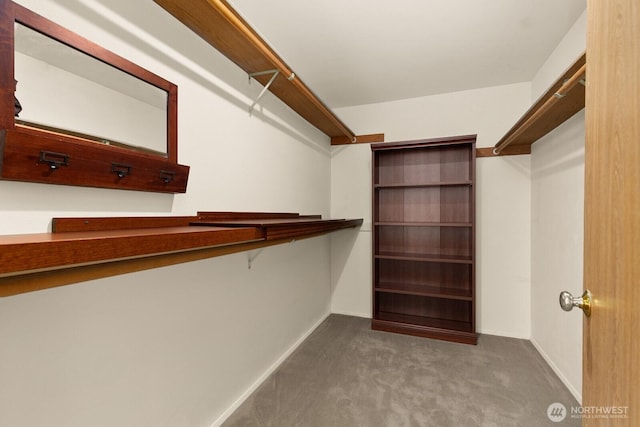 spacious closet featuring carpet flooring