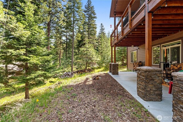 view of yard featuring a patio area