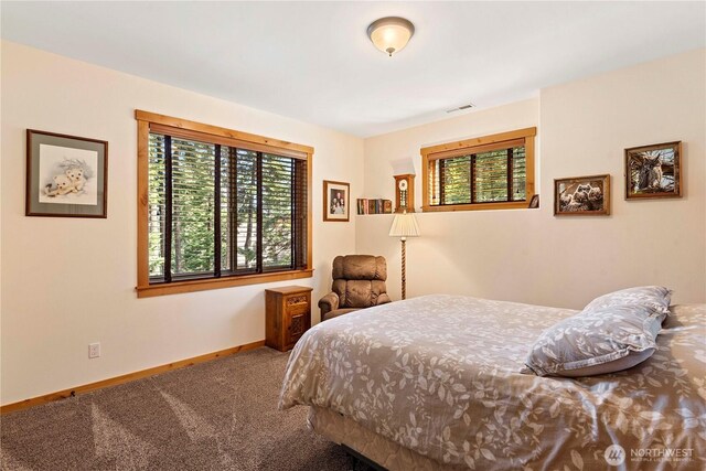 bedroom featuring baseboards, multiple windows, carpet, and visible vents