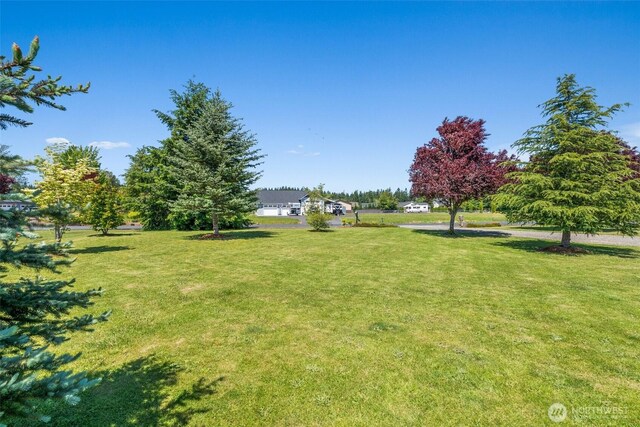 109 View Point Dr, Salkum, WA 98582 - photo 24
