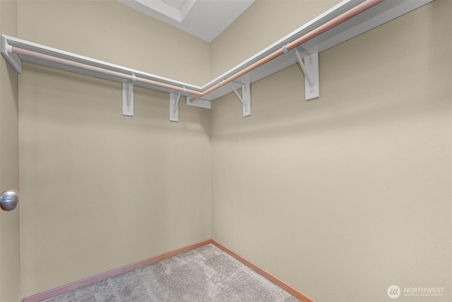 1321 Wilson Ave, Blaine, WA 98230 - walk in closet with carpet