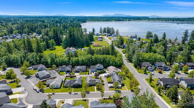 1321 Wilson Ave, Blaine, WA 98230 - aerial view of residential area featuring a water and mountain view