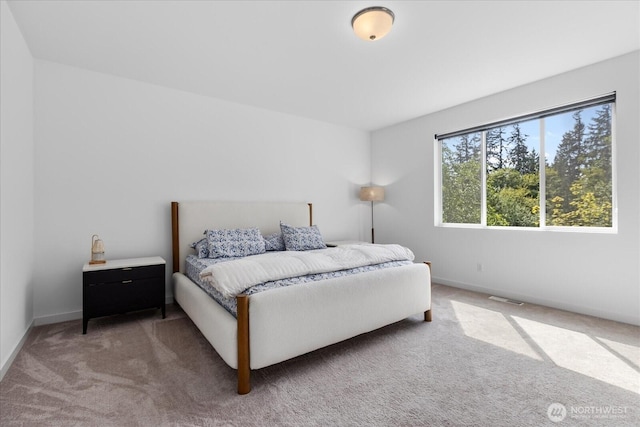 1616 96th Dr SE, Lake Stevens, WA 98258 - carpeted bedroom with baseboards