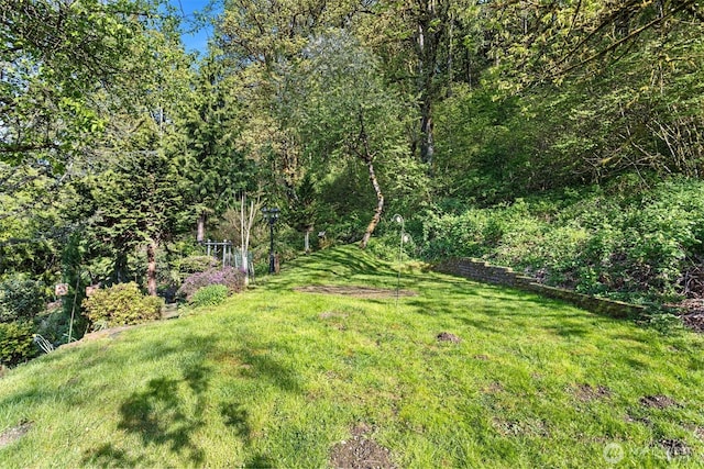 view of yard with a view of trees