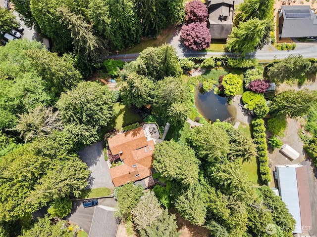 drone / aerial view