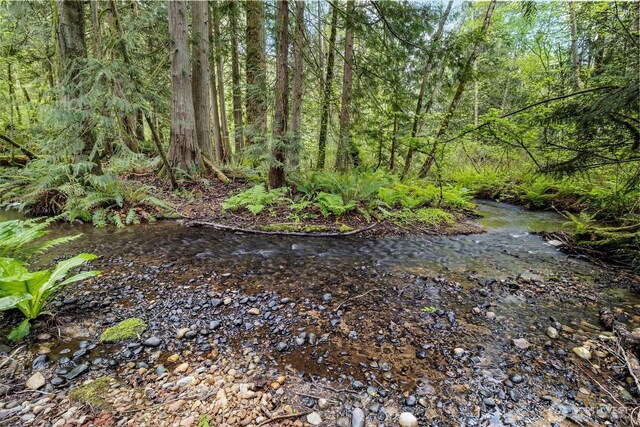 21702 Little Mountain Rd, Mount Vernon, WA 98274 - view of landscape featuring a forest view