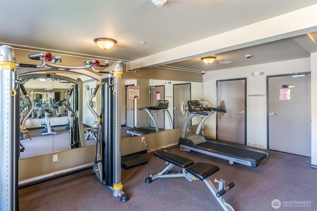 gym featuring carpet