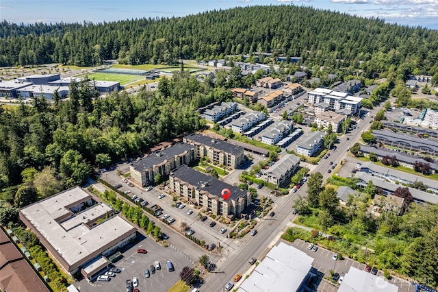 bird's eye view of a forest