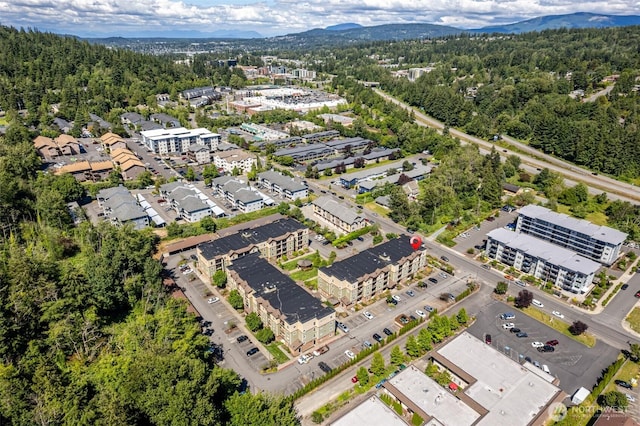 aerial view of a heavily wooded area and a mountain backdrop