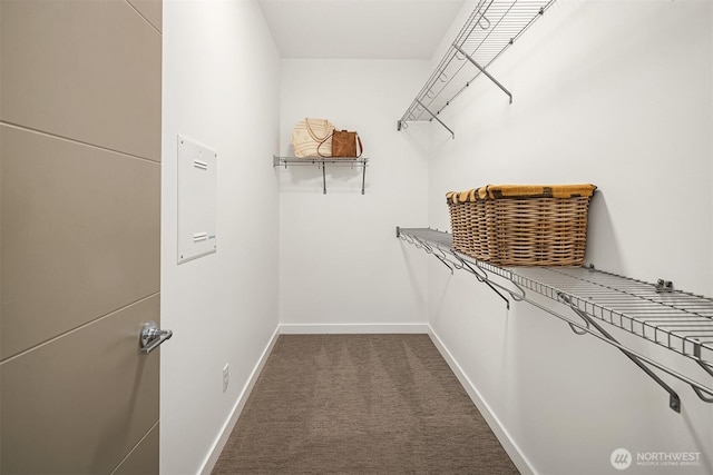 walk in closet with dark colored carpet